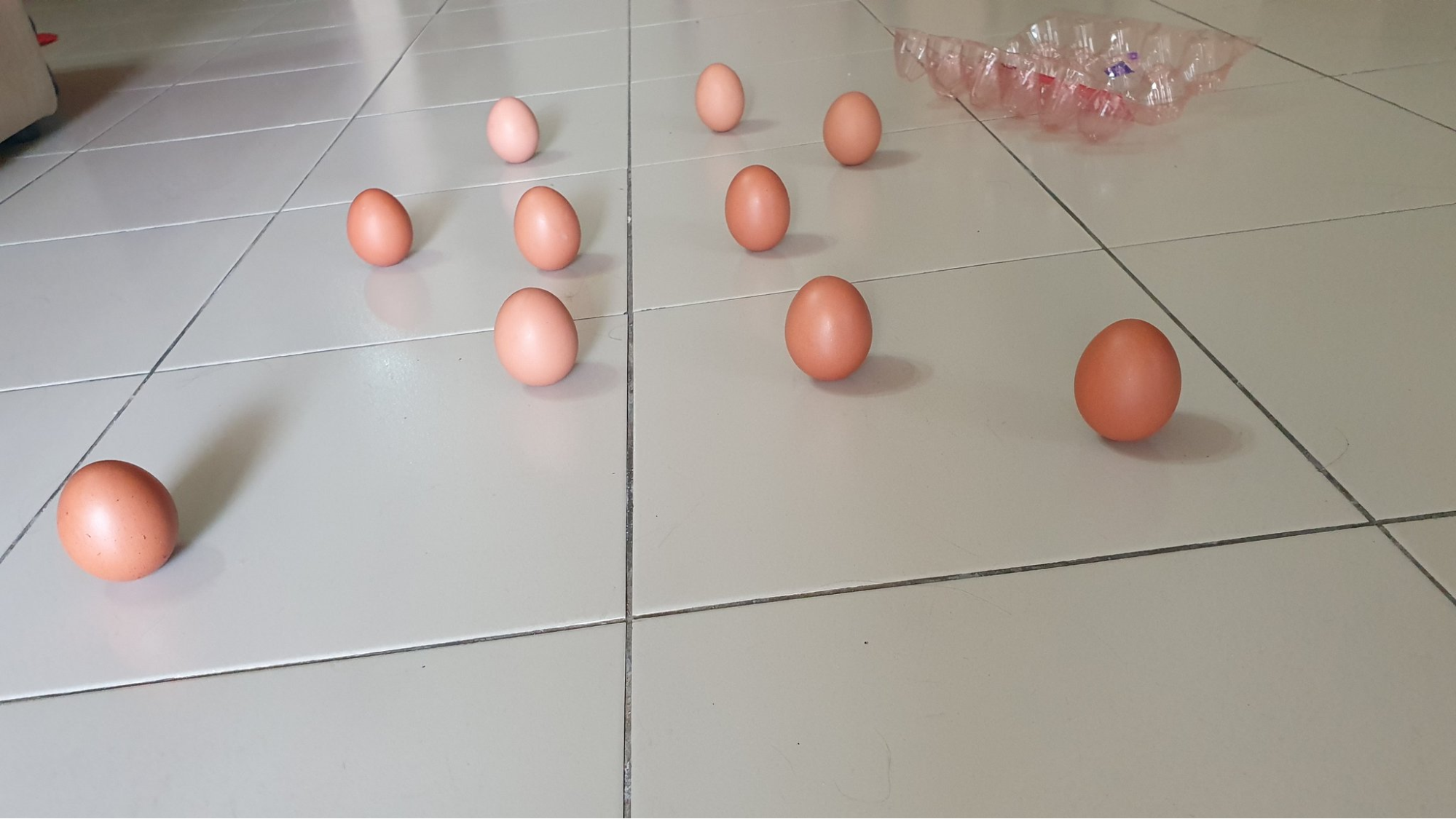 Balancing eggs