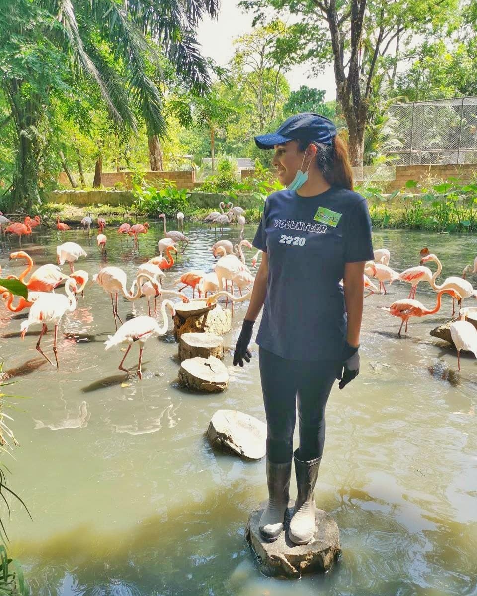 Volunteer with animals at Zoo Negara