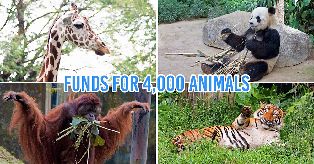 Funds for Zoo Negara