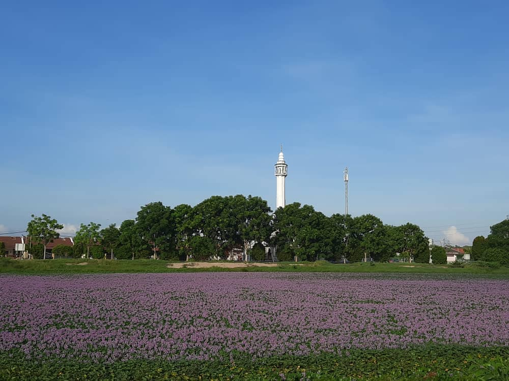 Taman Semabok Perdana 2