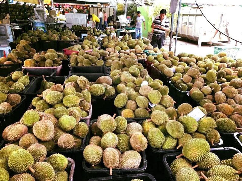 Tip Top Durian