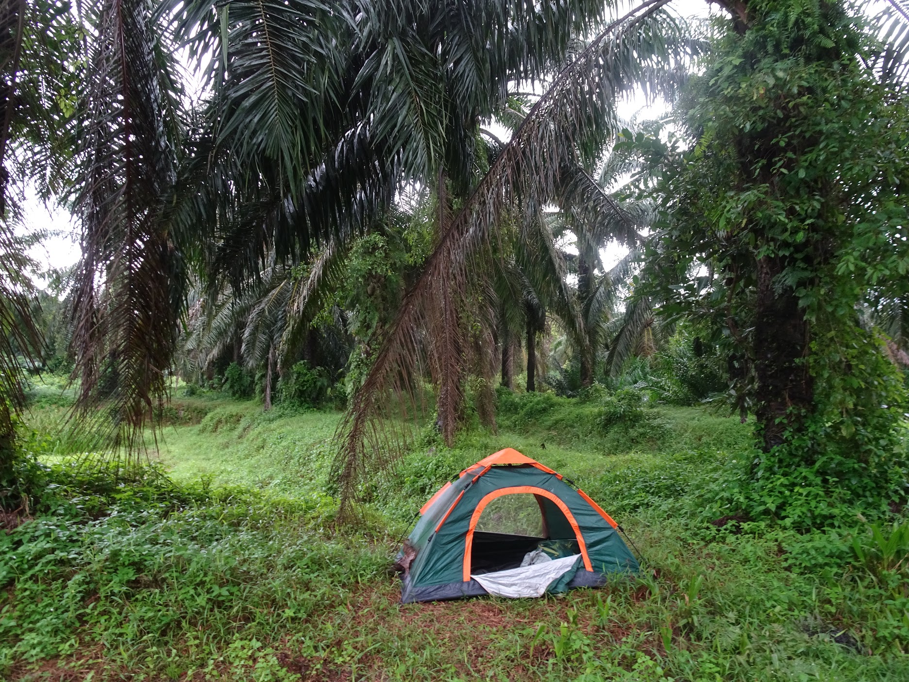 tourist walk peninsular malaysia - tent 