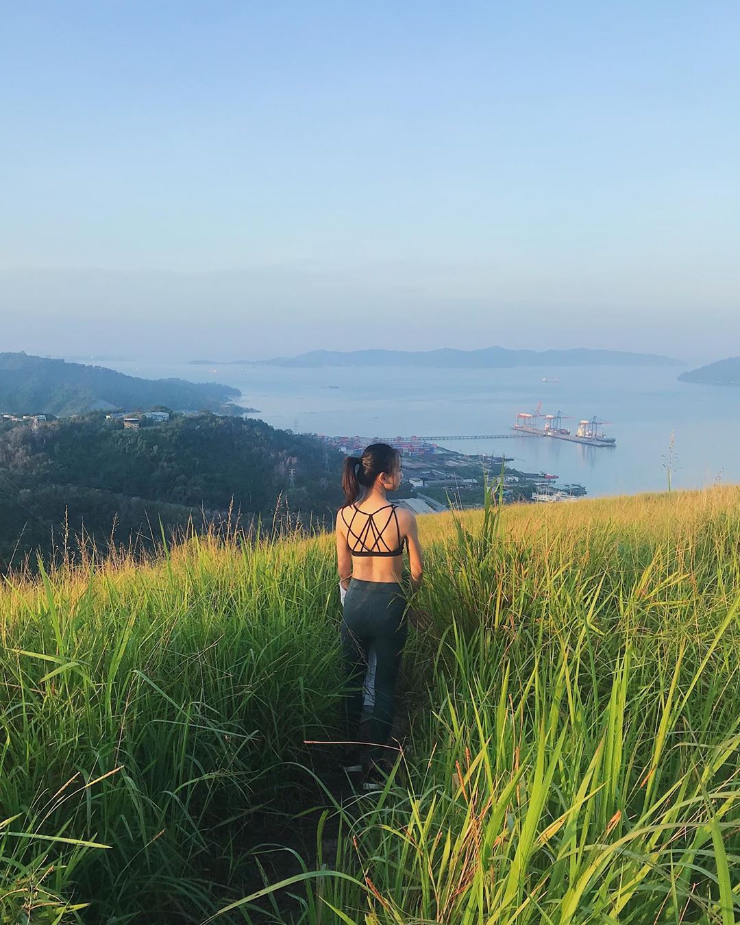 Sabah hiking trails - Bukit Botak wild grass