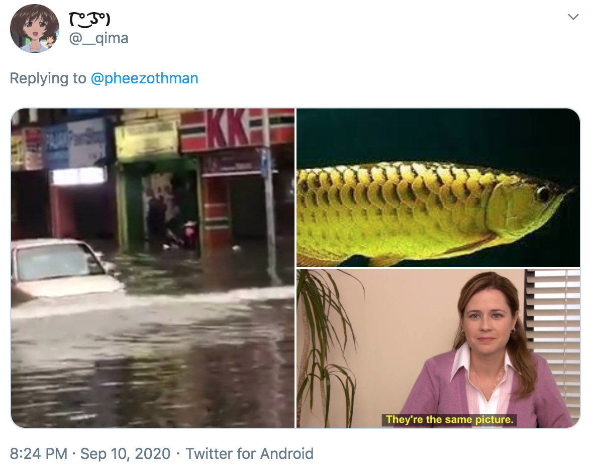 Ikan kelisa goes through flood waters like a boss - tweet