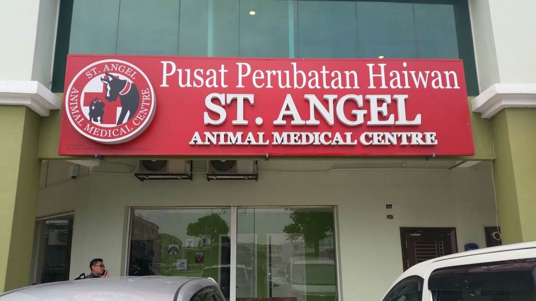 St angel animal medical centre