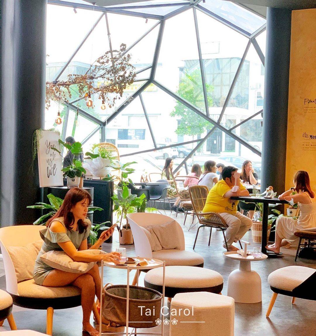 Plantherapy in JB - dining area 