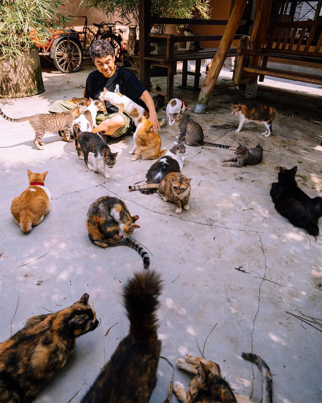 Things To Do Johor Bahru - Noah's Ark Animal Sanctuary