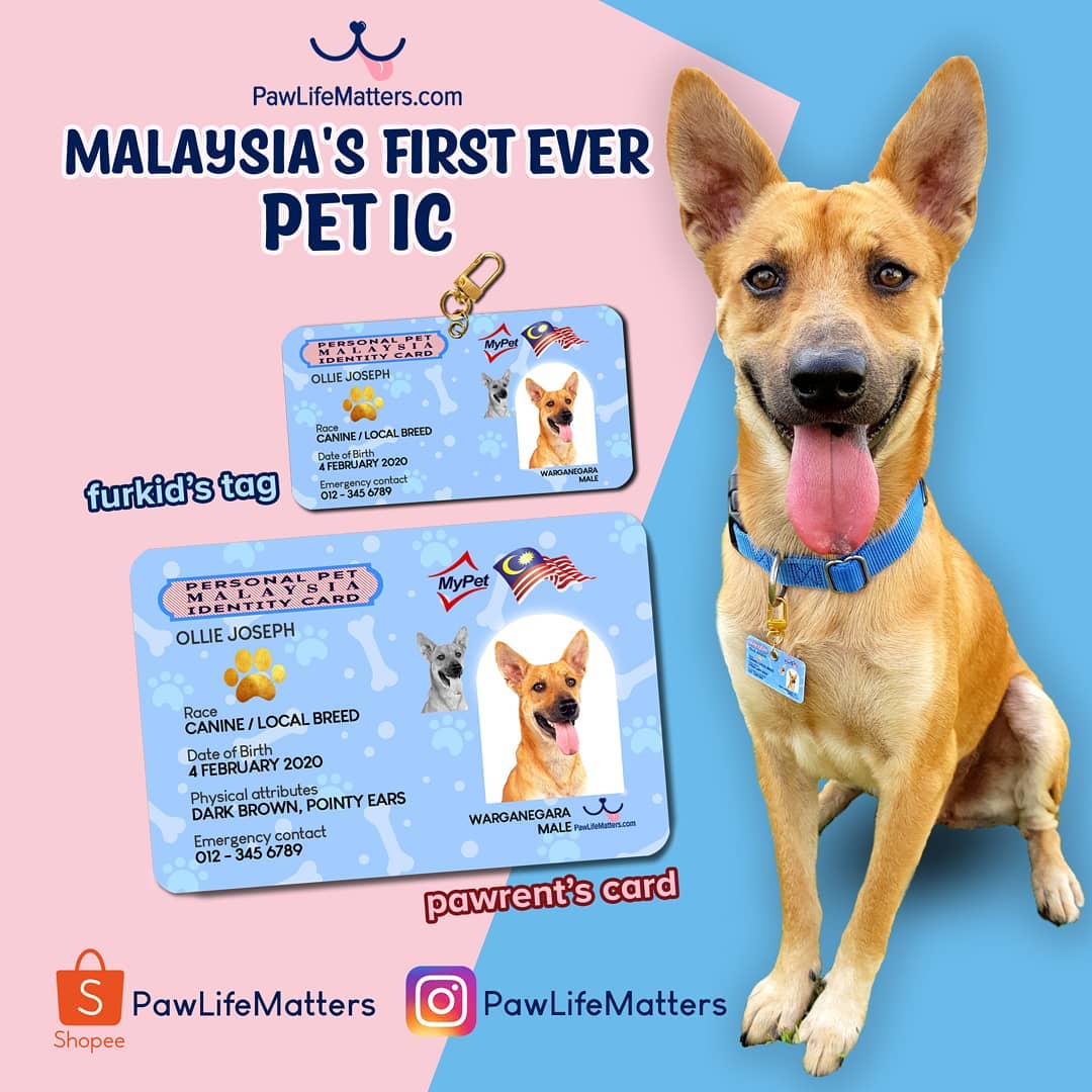 paw life mattes pet ID