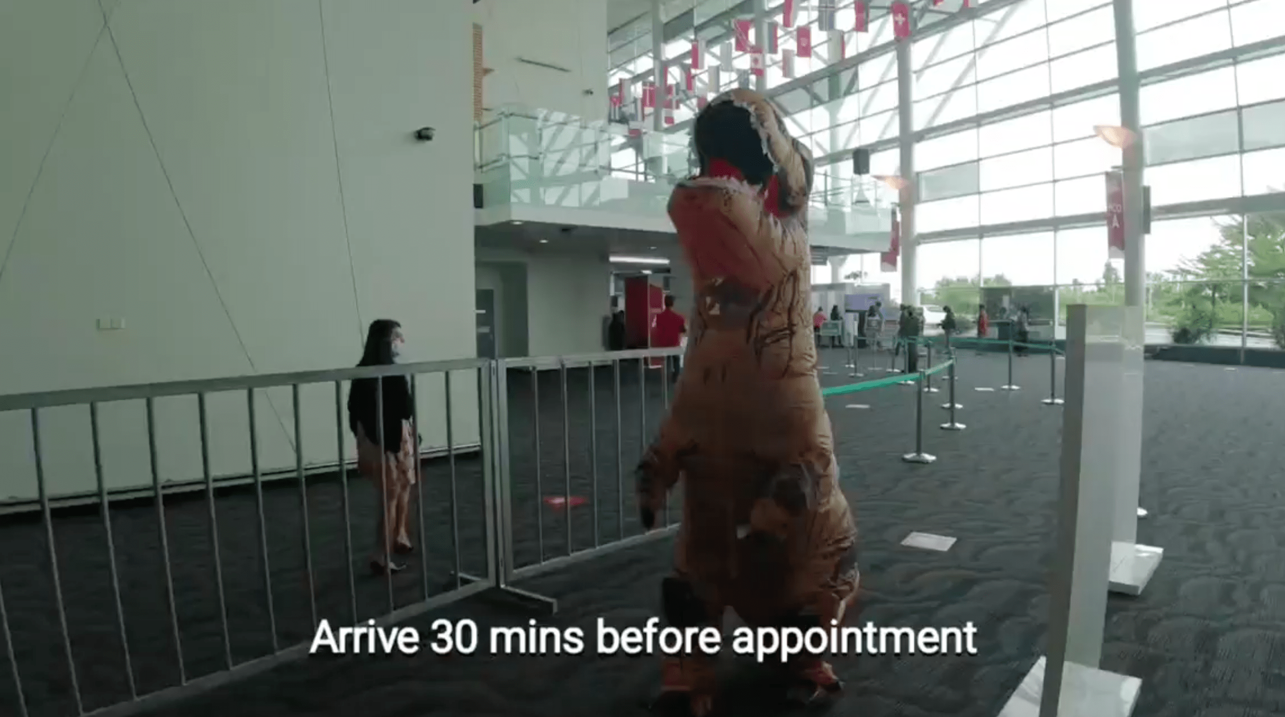 Man dons dinosaur suit to PPV - guide