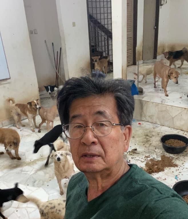 Malaysian man with 59 dogs