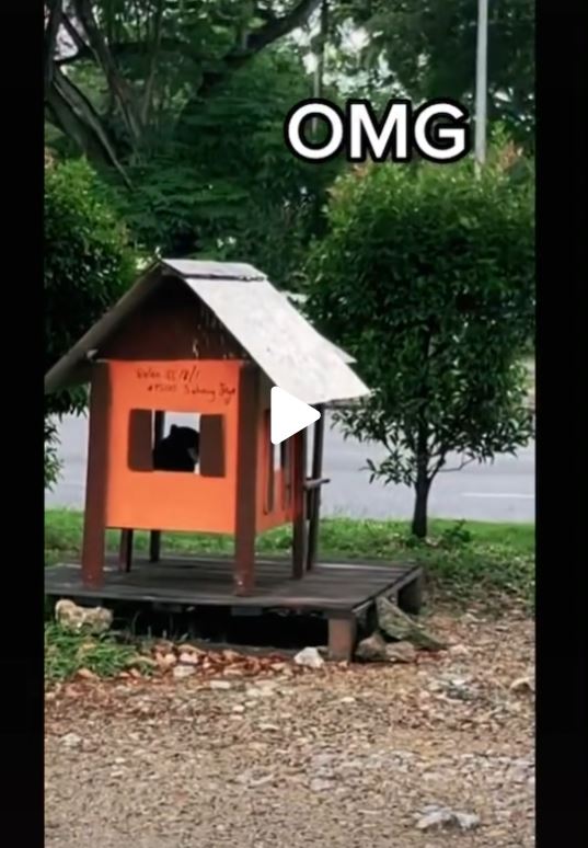 Stray Cat In Subang Gets Its Own Wooden House, Netizens ...