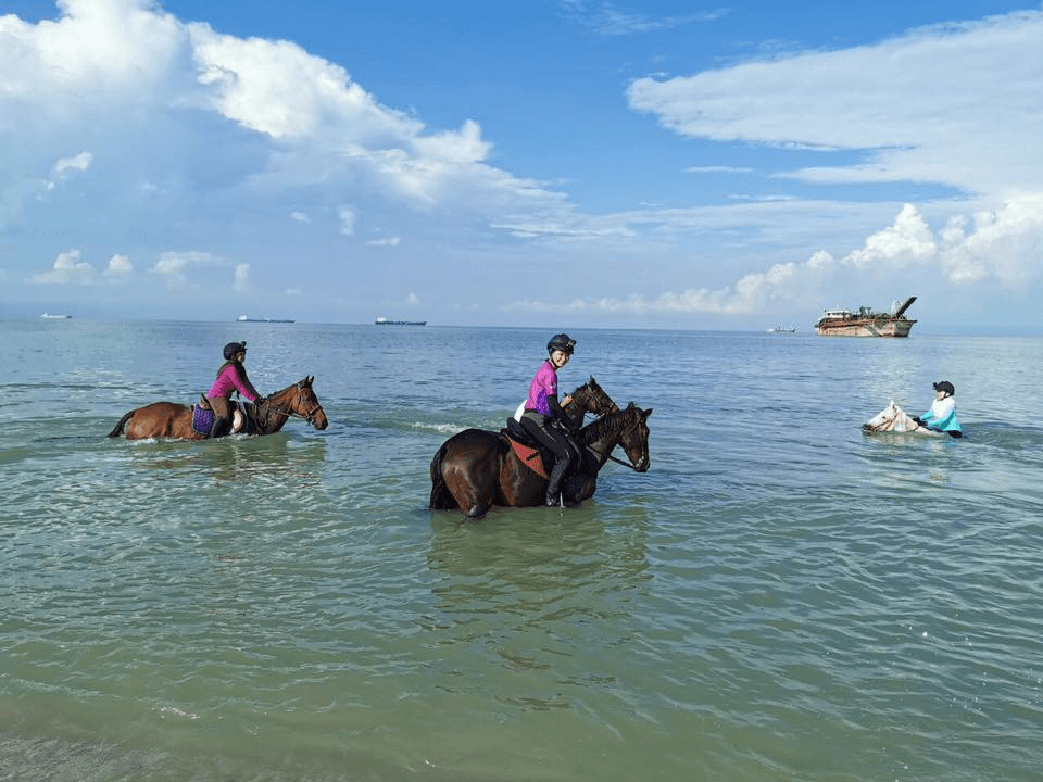 Things to do in Melaka - horse riding