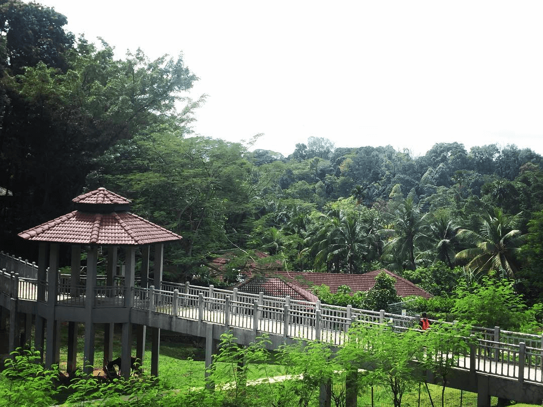 Things to do in Melaka - Melaka Botanical Garden