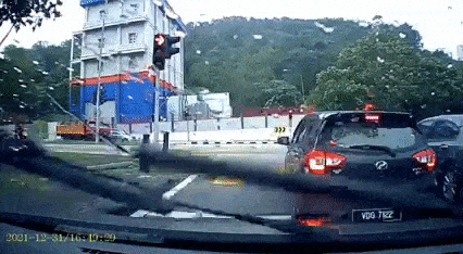 Roadside tree falling on car