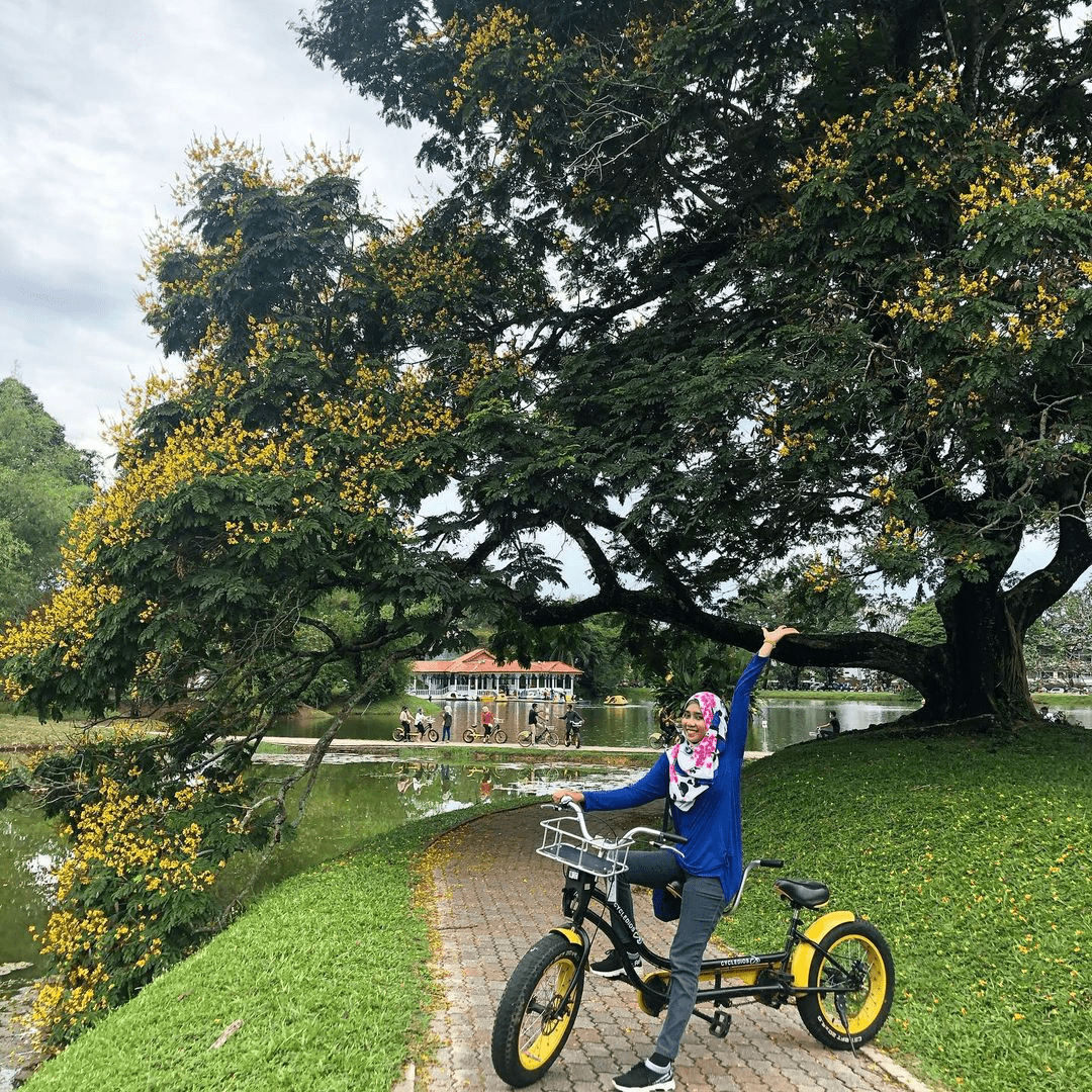 Taiping Lake Gardens in Perak - bicycle