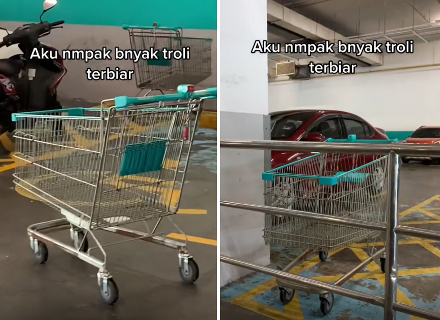 Shopping Trolleys - trolleys