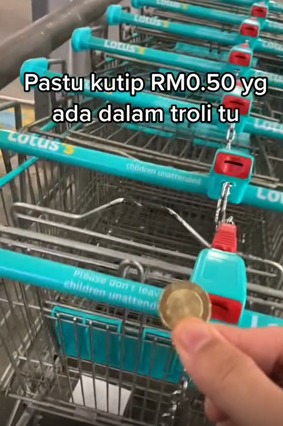 Shopping Trolleys - coin