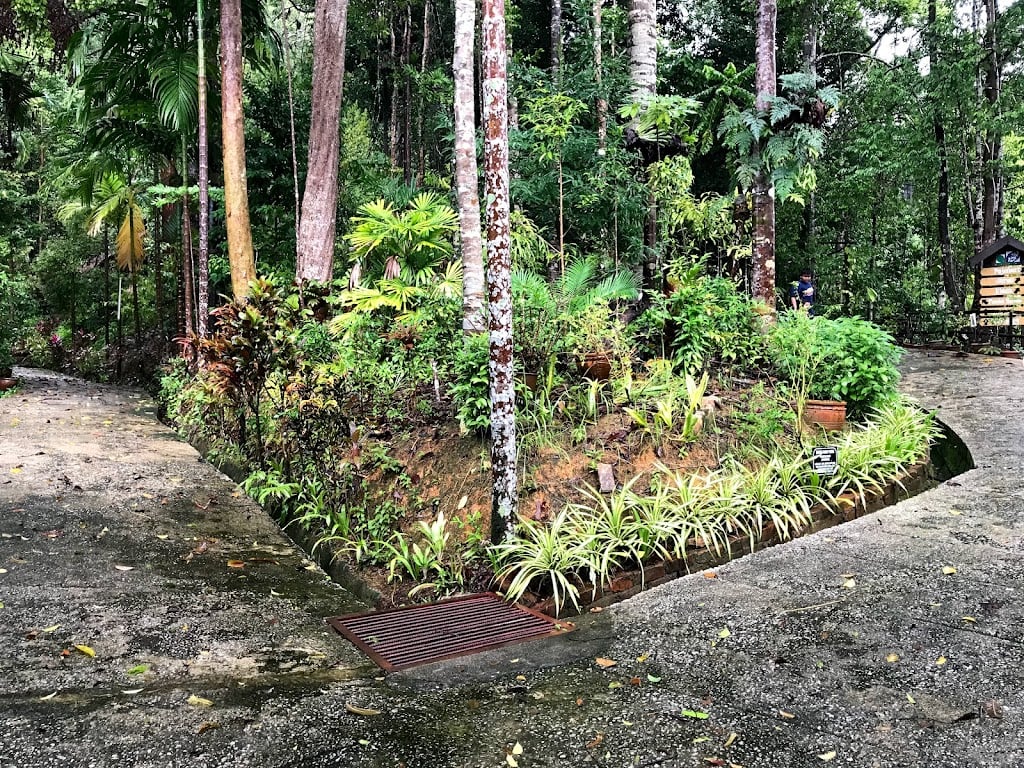 things to do in terengganu - herb garden