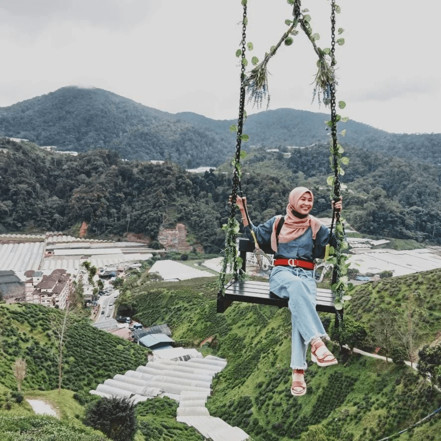Cameron Highlands Guide - Things To Do - swing