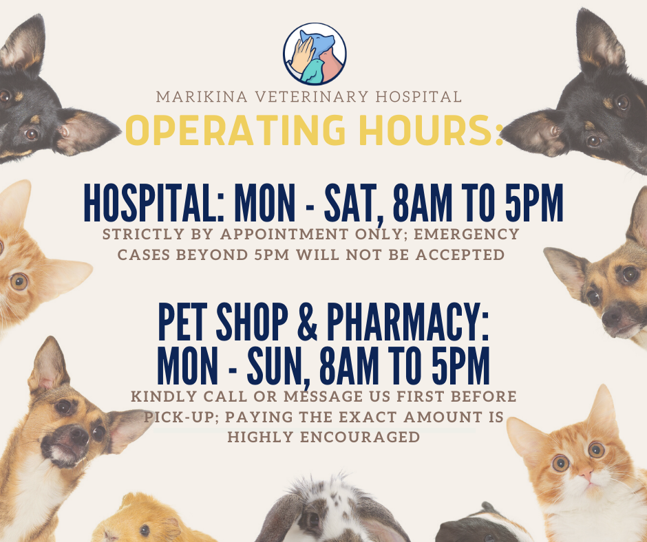 Buy Animal Clinic Near Me Open Now | UP TO 50% OFF