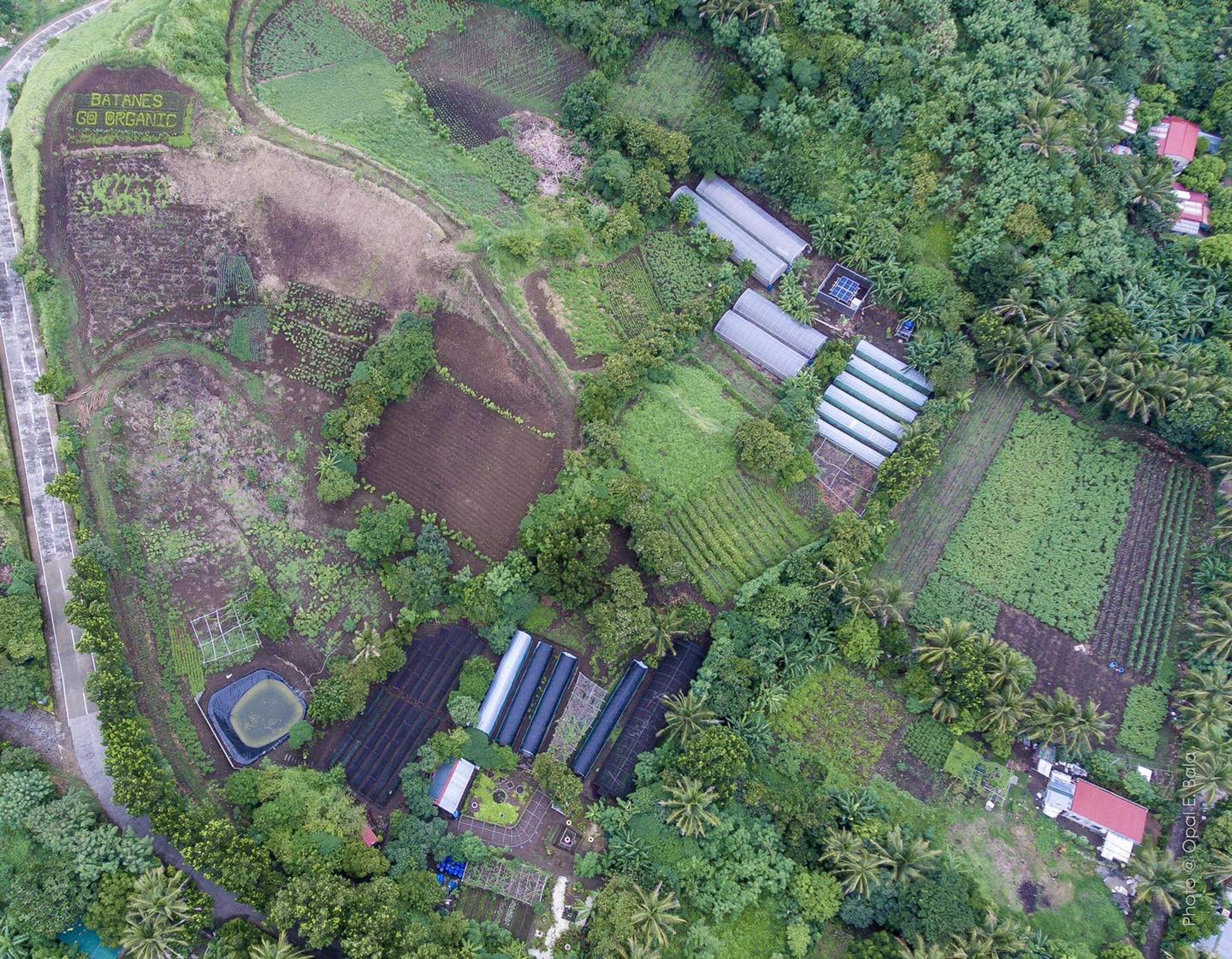 Batanes aerial shots - Naidi Hills organic farm