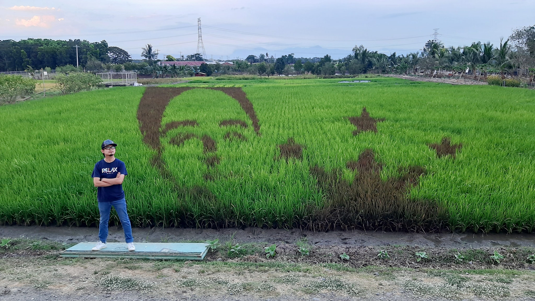 FutureRice Farm - Vico Sotto rice paddy art 2