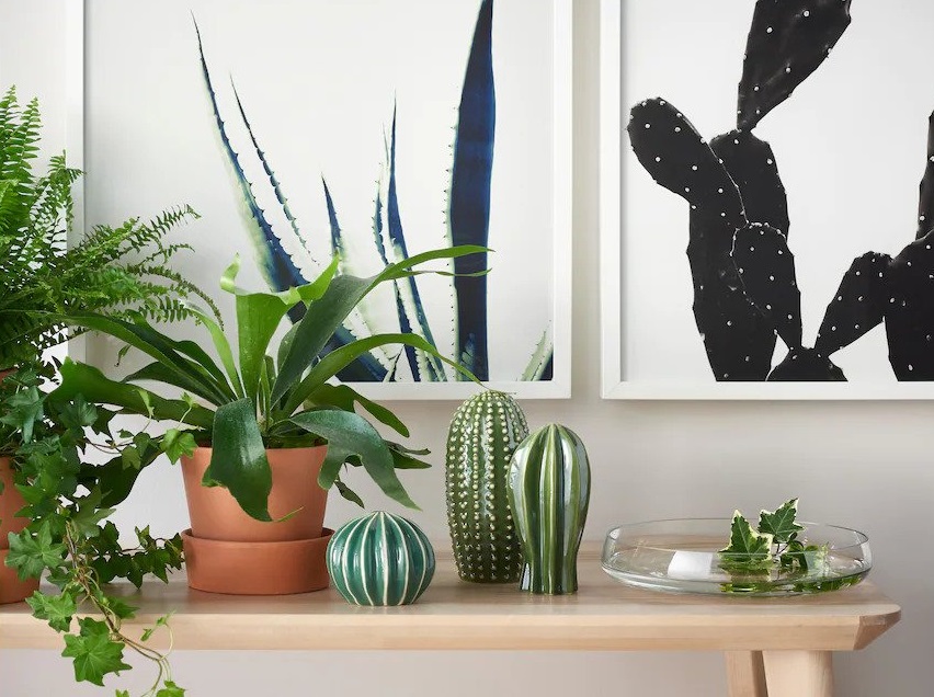 Christmas gift ideas - IKEA Philippines cactus set