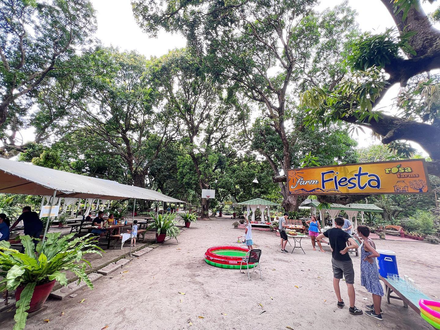 Things to do in Zambales - Rosa Farms