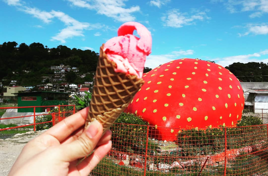 baguio photo spots - la trinidad strawberry farm ice cream