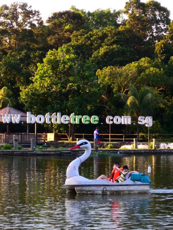 Bottle Tree Park Reviews Singapore Parks & Gardens TheSmartLocal