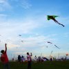 Come fly Kite :)