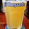 Beer Hoegaarden