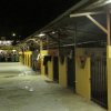 Punggol Ranch Horse Stables