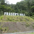 Fraser's Hill ( Bukit Fraser )