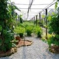Perak Herb Garden