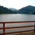 Sultan Abu Bakar Lake(Fishing) - Ringlet (Habu)