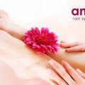 Amante Nail Spa & Body Care