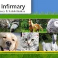 Animal Infirmary Singapore