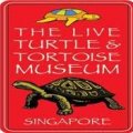 The Live Turtle & Tortoise Museum