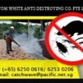 Atom White Ant Destroying Co. Pte Ltd