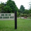Ang Mo Kio Town Garden West