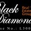 Black Diamond Real Estate Group