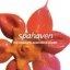 Spahaven - The Beauty and Aesthetics Expert