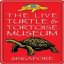 The Live Turtle & Tortoise Museum