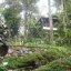 Botanical Garden Pahang