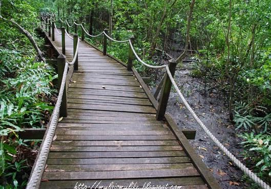 Matang Mangrove Forest Reserve Reviews Malaysia Nature Reserves Thesmartlocal Reviews