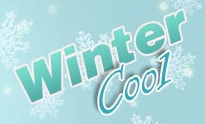 wintercool air conditioning company