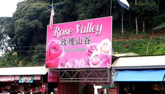 Rose Valley Reviews - Malaysia Attractions - TheSmartLocal Reviews