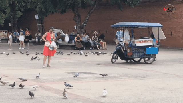 Pigeon Scarecrow