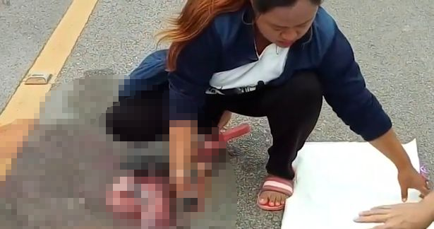 Woman Helps Deliver Puppies in car crash